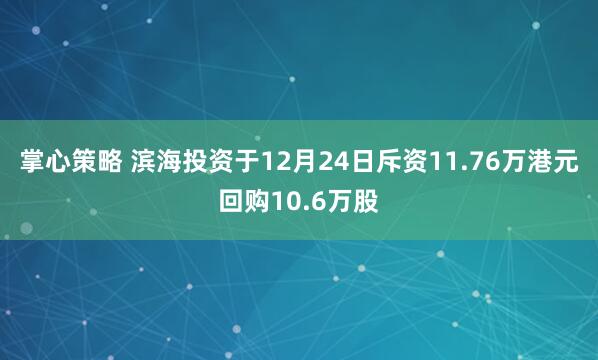掌心策略 滨海投资于12月24日斥资11.76万港元回购10.6万股