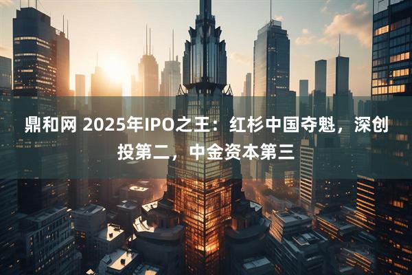 鼎和网 2025年IPO之王：红杉中国夺魁，深创投第二，中金资本第三